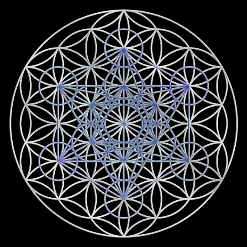 Le cube de Metatron - Fleur de la vie
