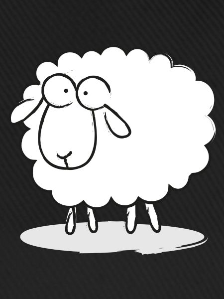 Sheep