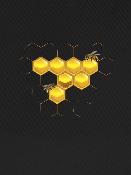 Bees and honeycomb