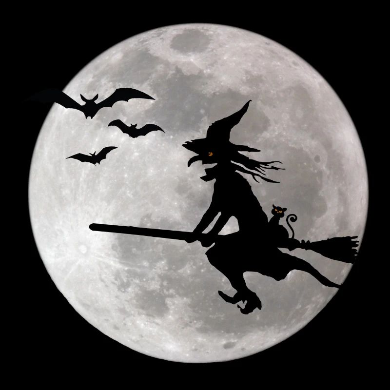 Halloween sorcière avec un chat vole sur le ciel