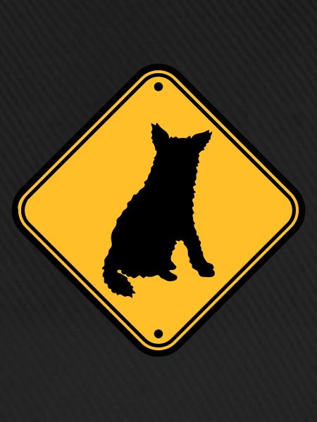 Caution biting dog