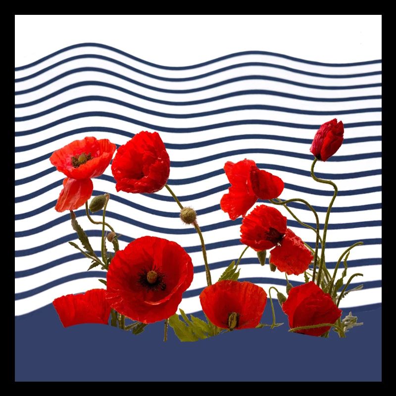 poppy and seaside sea wave