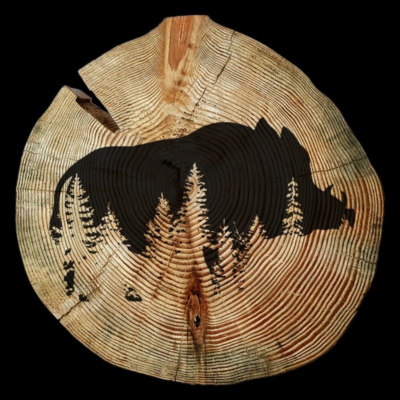 Tree disc wild boar