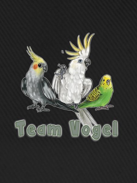 Team Vogel