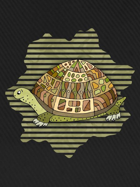 Tortoise
