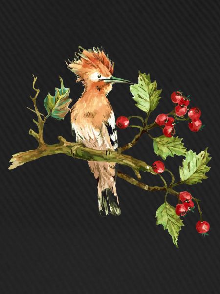 Bunter Vogel