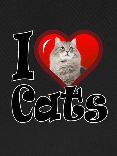 I love Cats