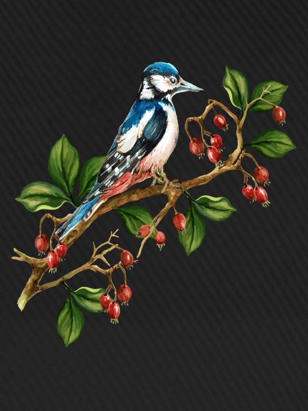Bunter Vogel