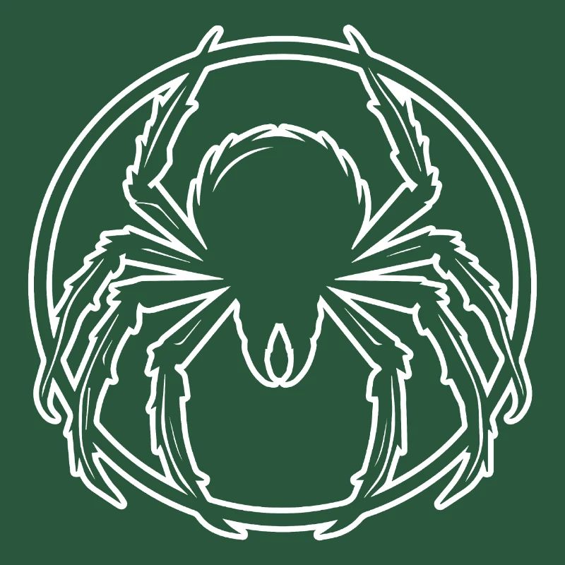 Spider spiders animals