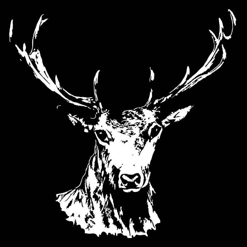Hirsch