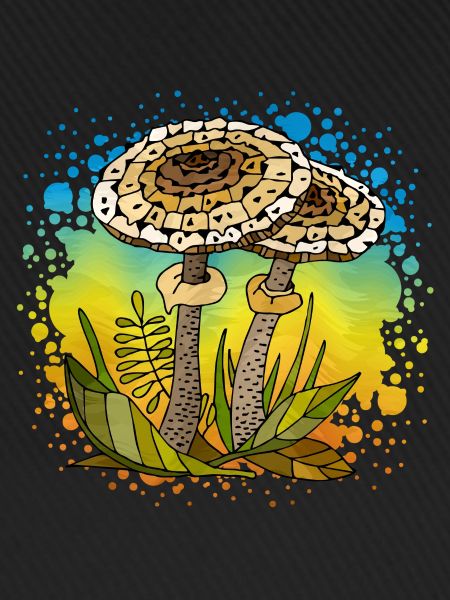 Fungi