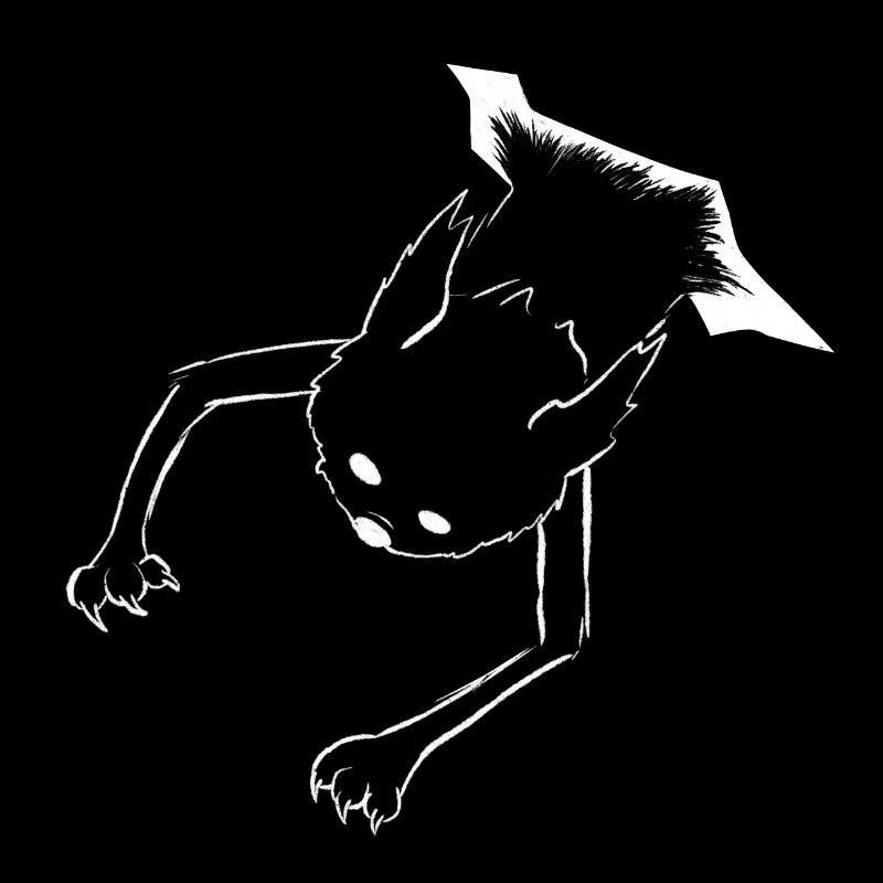 Chat de Schrödinger