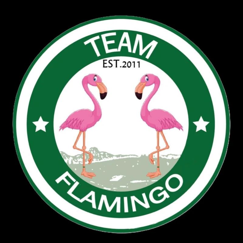 Team Flamingo