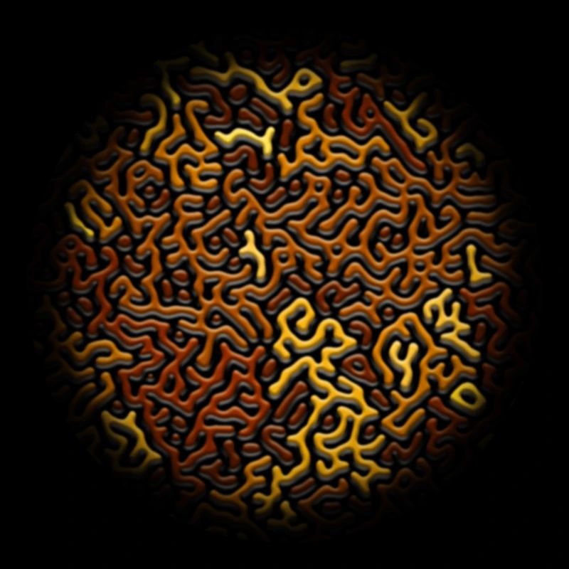 Turing Pattern