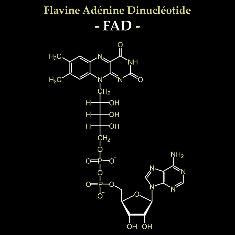 ADF Flavin-Adenin-Cofaktor