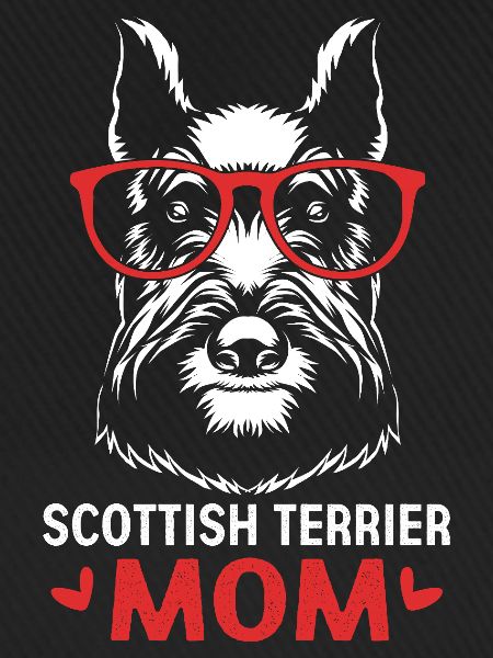 Scottish Terrier