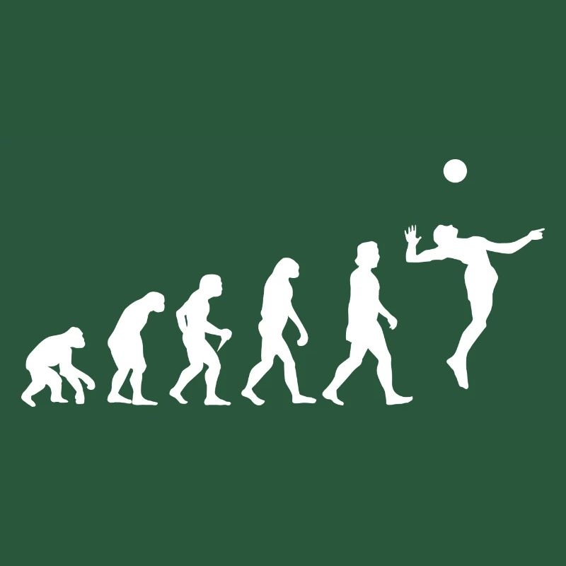 Evolution Volleyball Surcharge Gift Idea