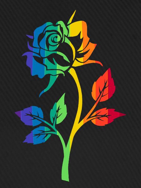 RAINBOW ROSE