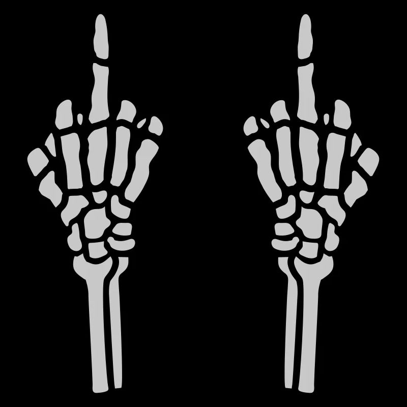 Gesture 2 hands middle finger
