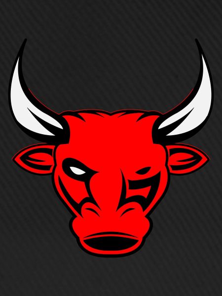 bull