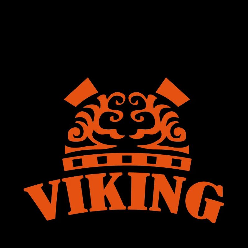 équipe viking 2