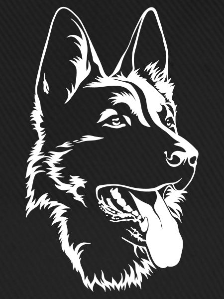 DSH portrait