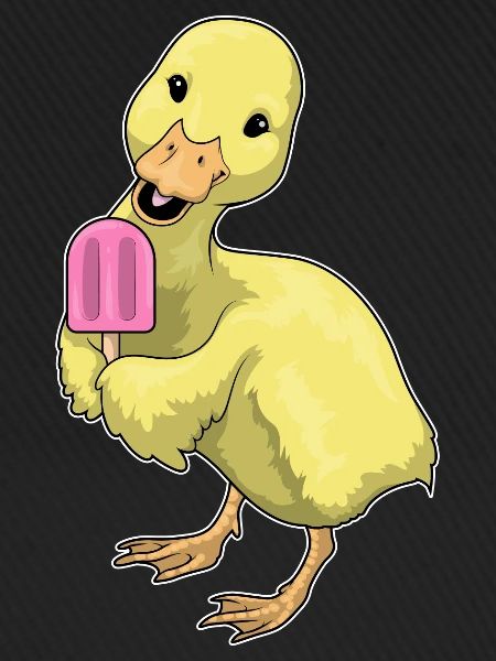 Popsicles au canard