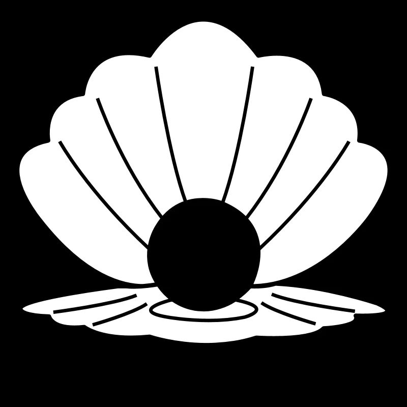 shell 02