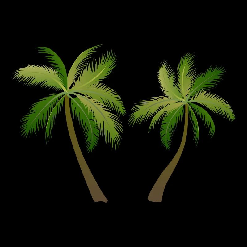 Palme Palmenbaum 2305 S