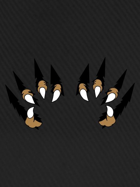claw 02