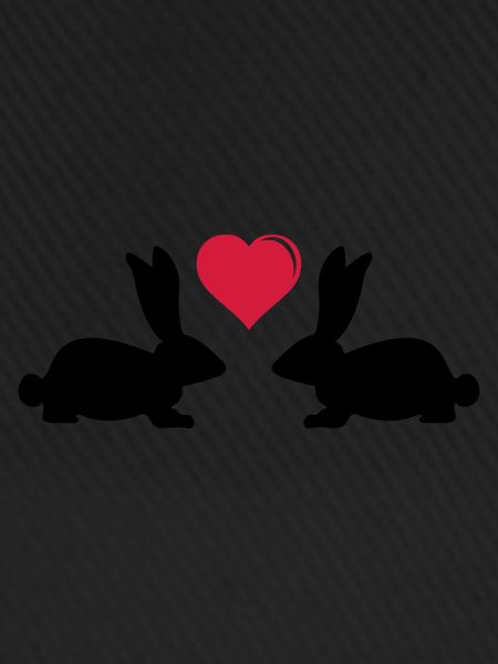rabbits love design 2