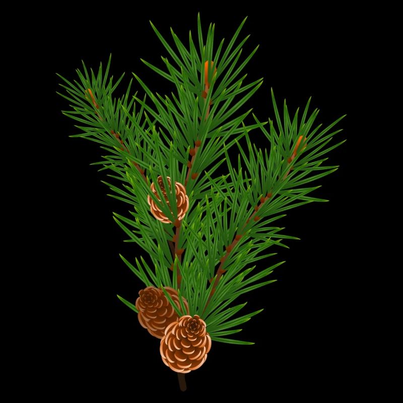 Pine branch