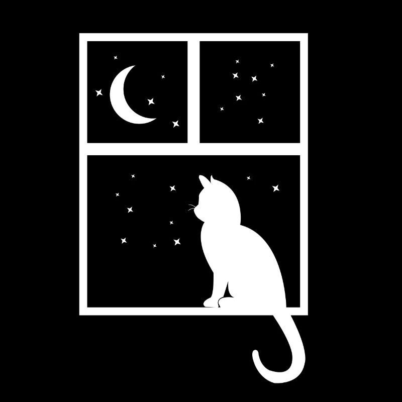 chat