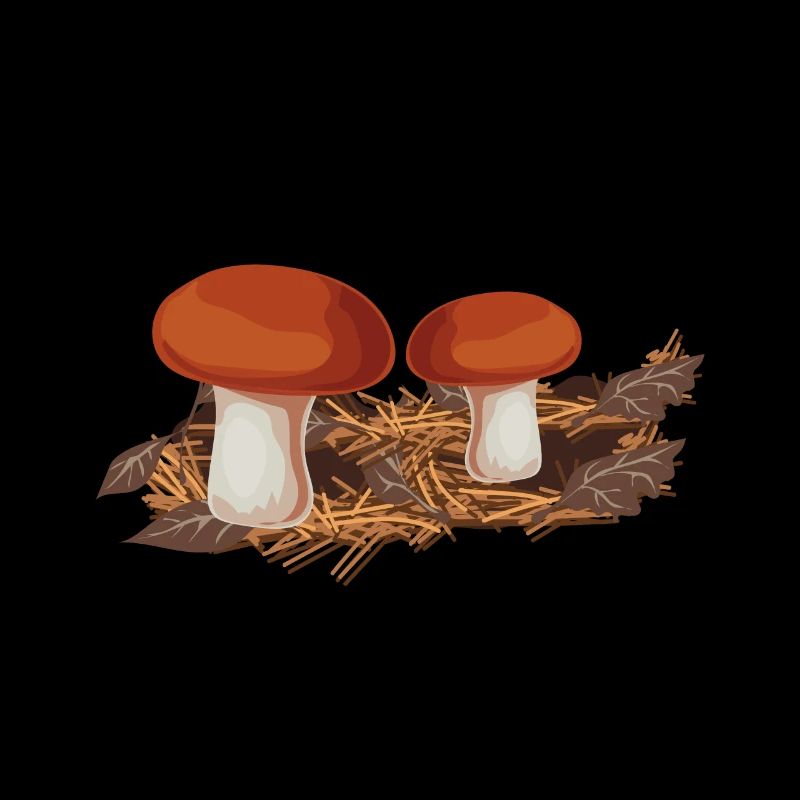 Champignons cueilleurs de champignons