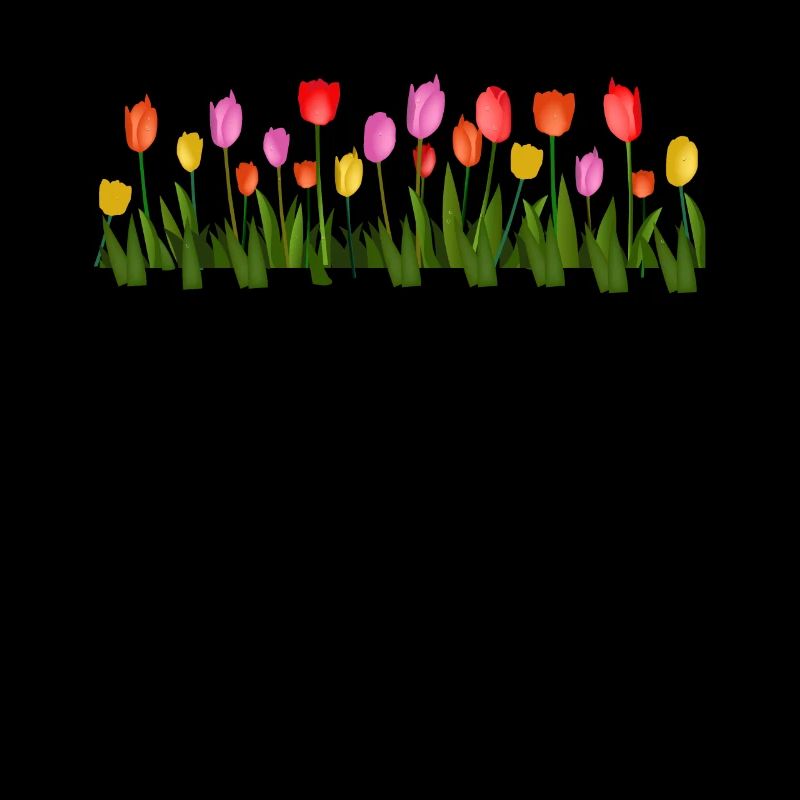 Tulips Spring Flower