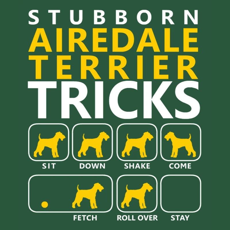 Hartnäckige Airedale-Terrier-Tricks