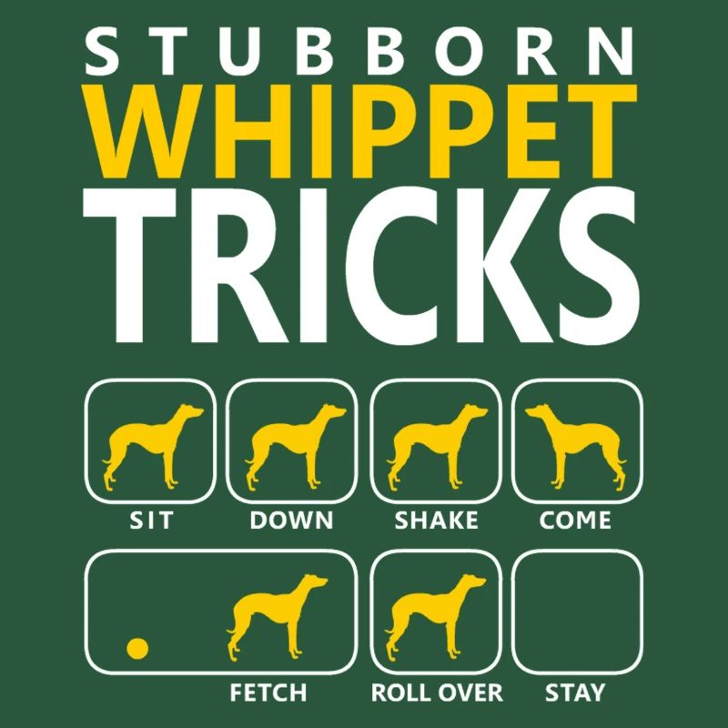 Stubborn Whippet Tricks