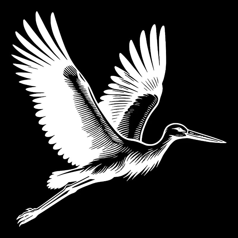 Elegant Flying Stork
