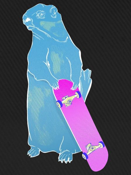 Murmeltier Woodchuck oder Murmeltier Skateboarding