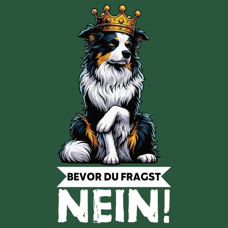Bevor Du Fragst Australian Shepherd Aussie Aussie