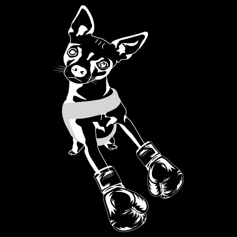 Boxer Chihuahua Hund sucht nach sparring Partner