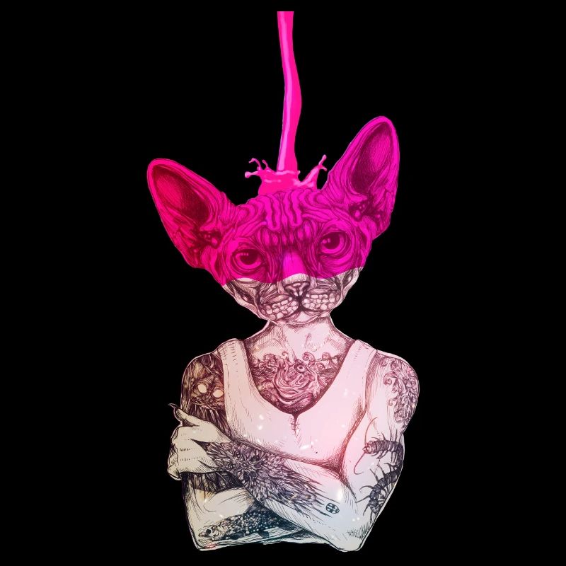 Sphynx Katze FARBE