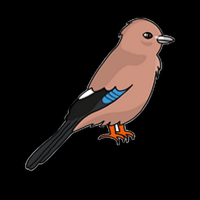 Jay