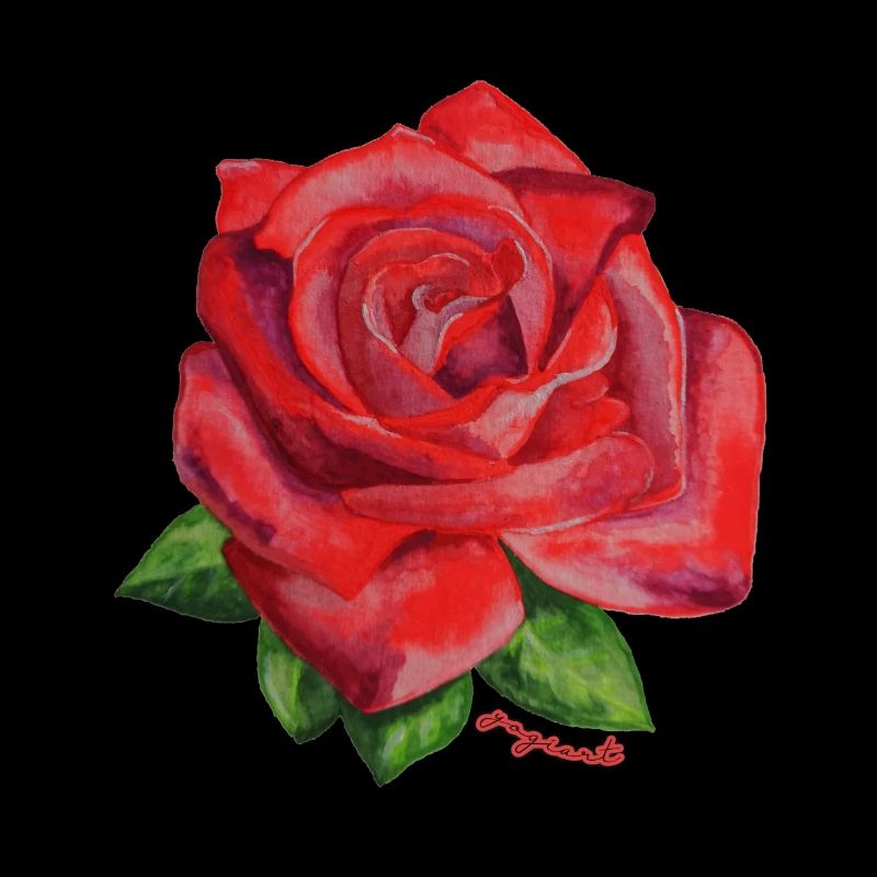 Rose rot