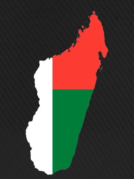 Madagascar map flag flag