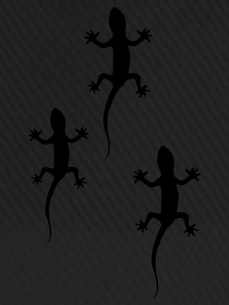 geckos