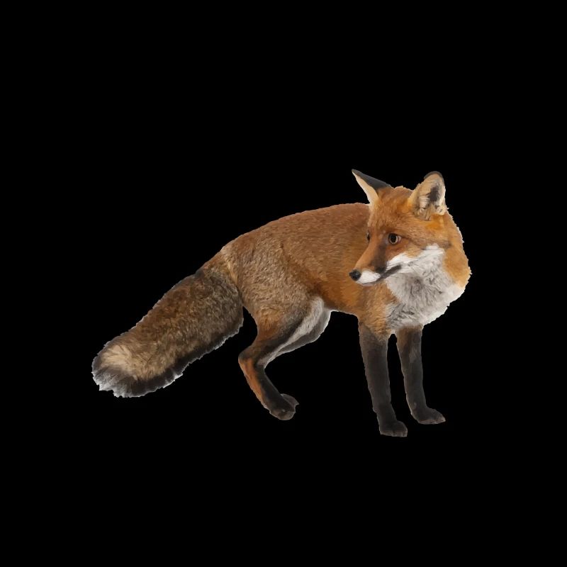 Fuchs