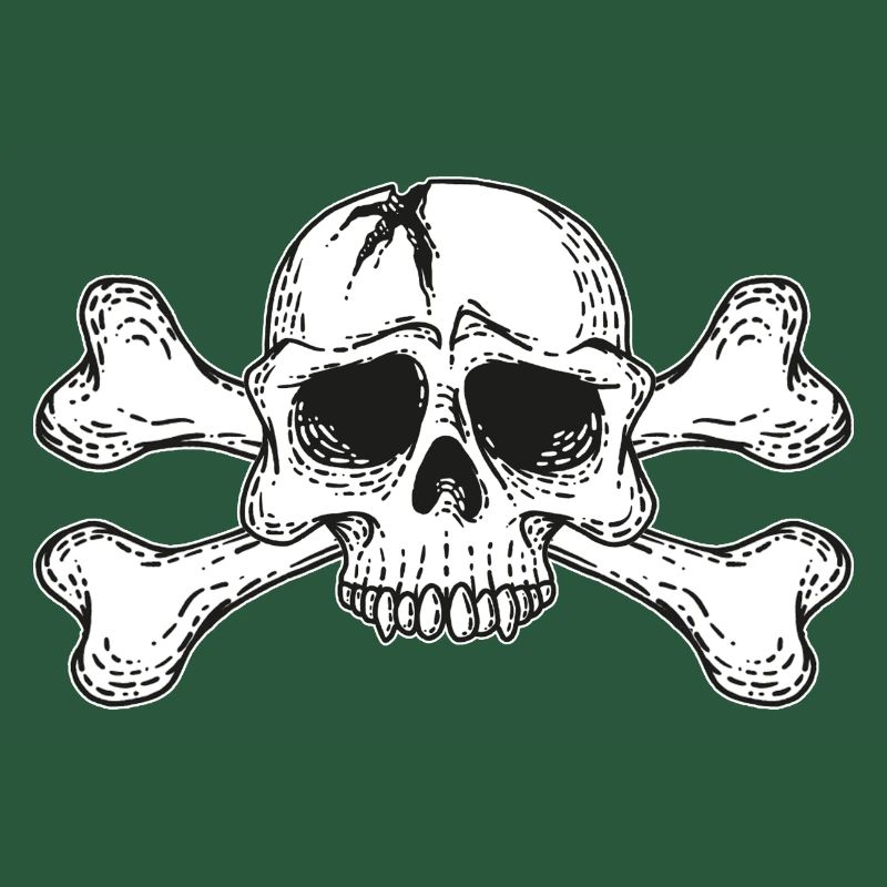 skull with bones