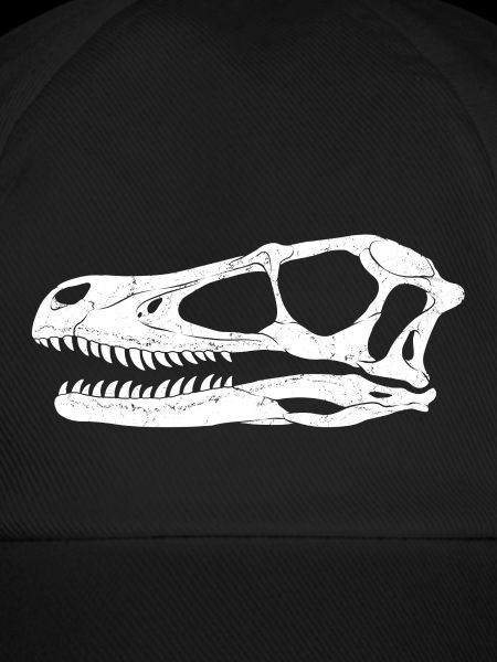 Velociraptor Fossil