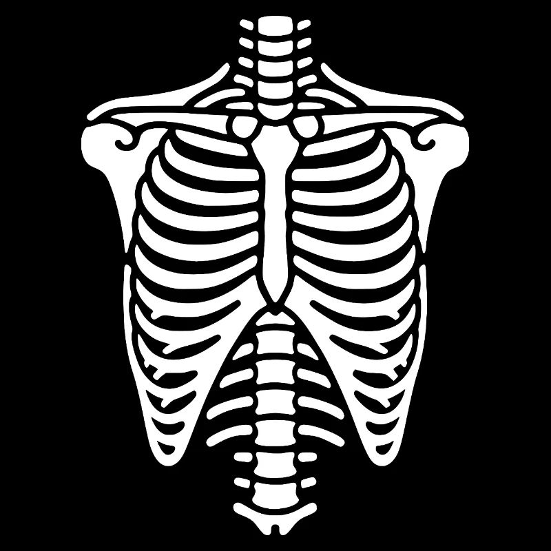 Cage thoracique, squelette, thorax et côtes, os